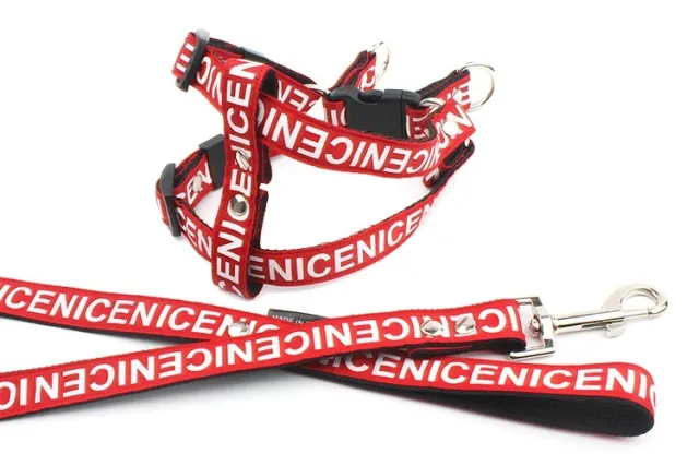 Casual PET Polyester Traction Dog Collar Red - Shop at LoveMi