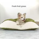 Fruit Green