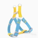 Blue And Yellow