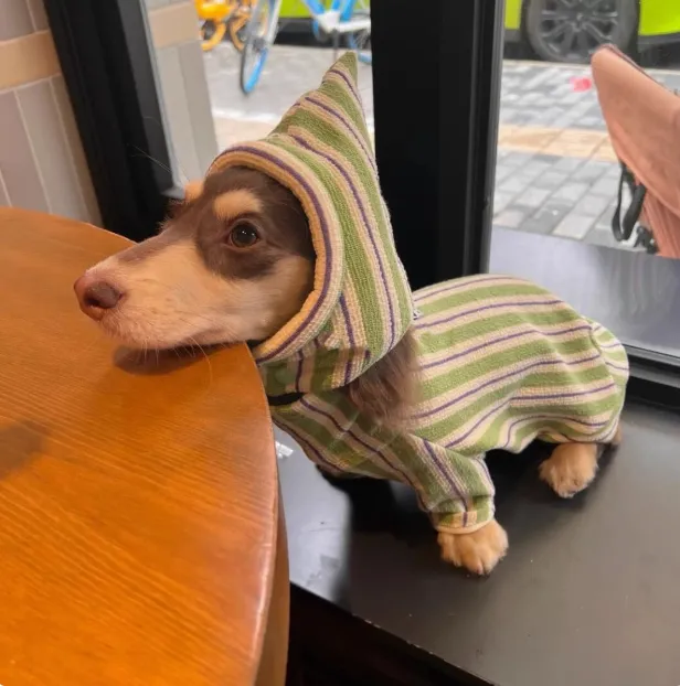 Pet Dog Autumn And Winter Vest Keep