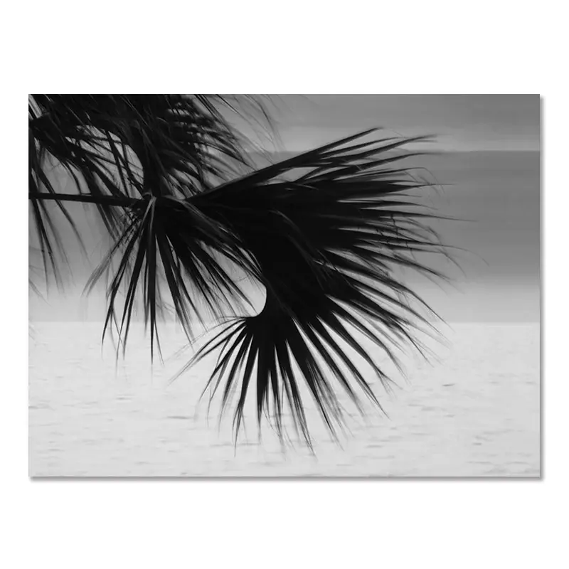 Nordic Modern Black And White Seaside Landscape