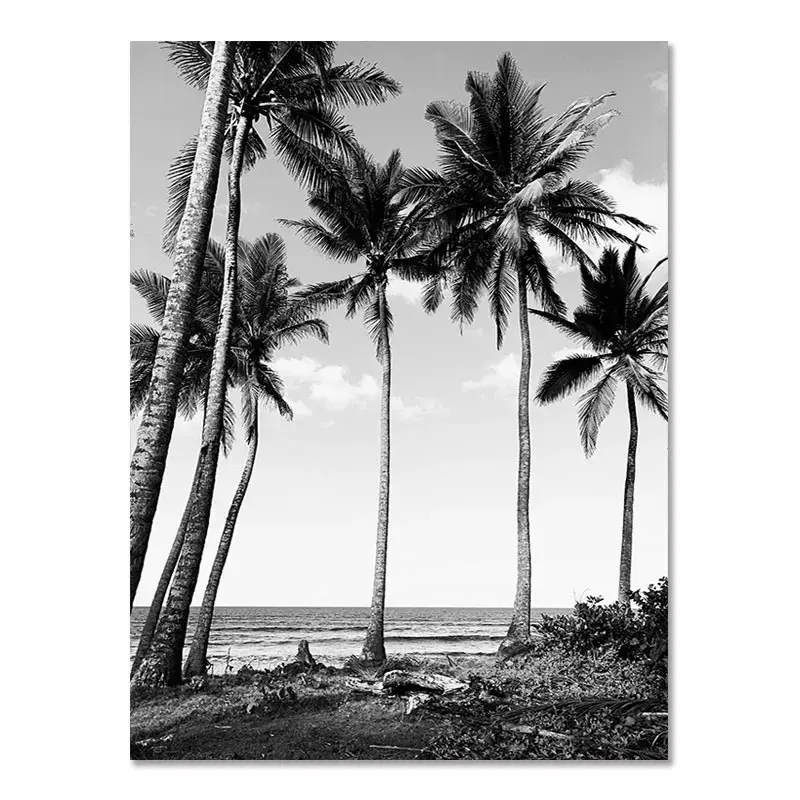 Nordic Modern Black And White Seaside Landscape
