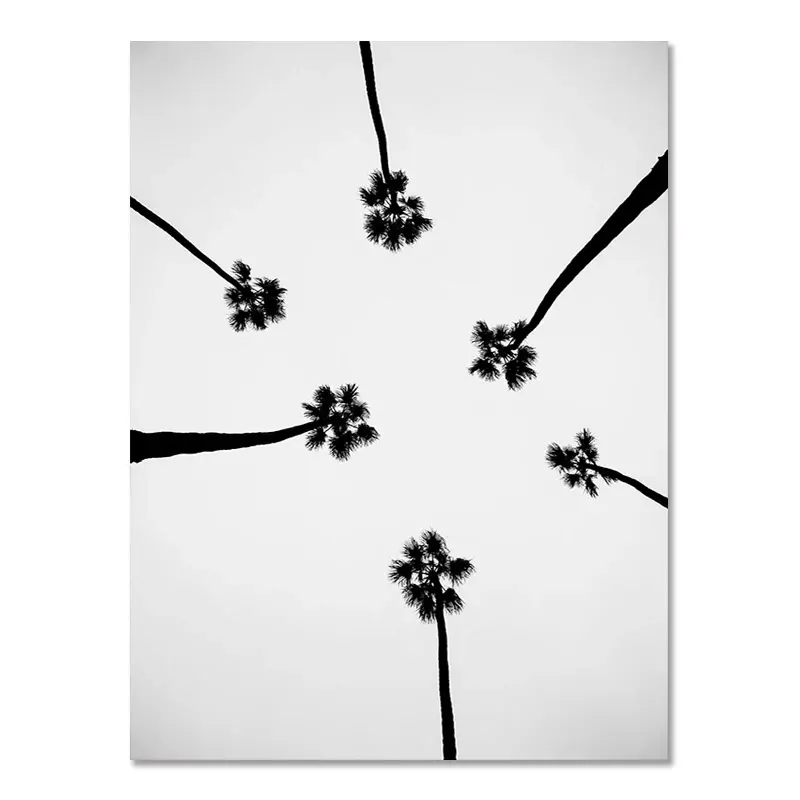 Nordic Modern Black And White Seaside Landscape