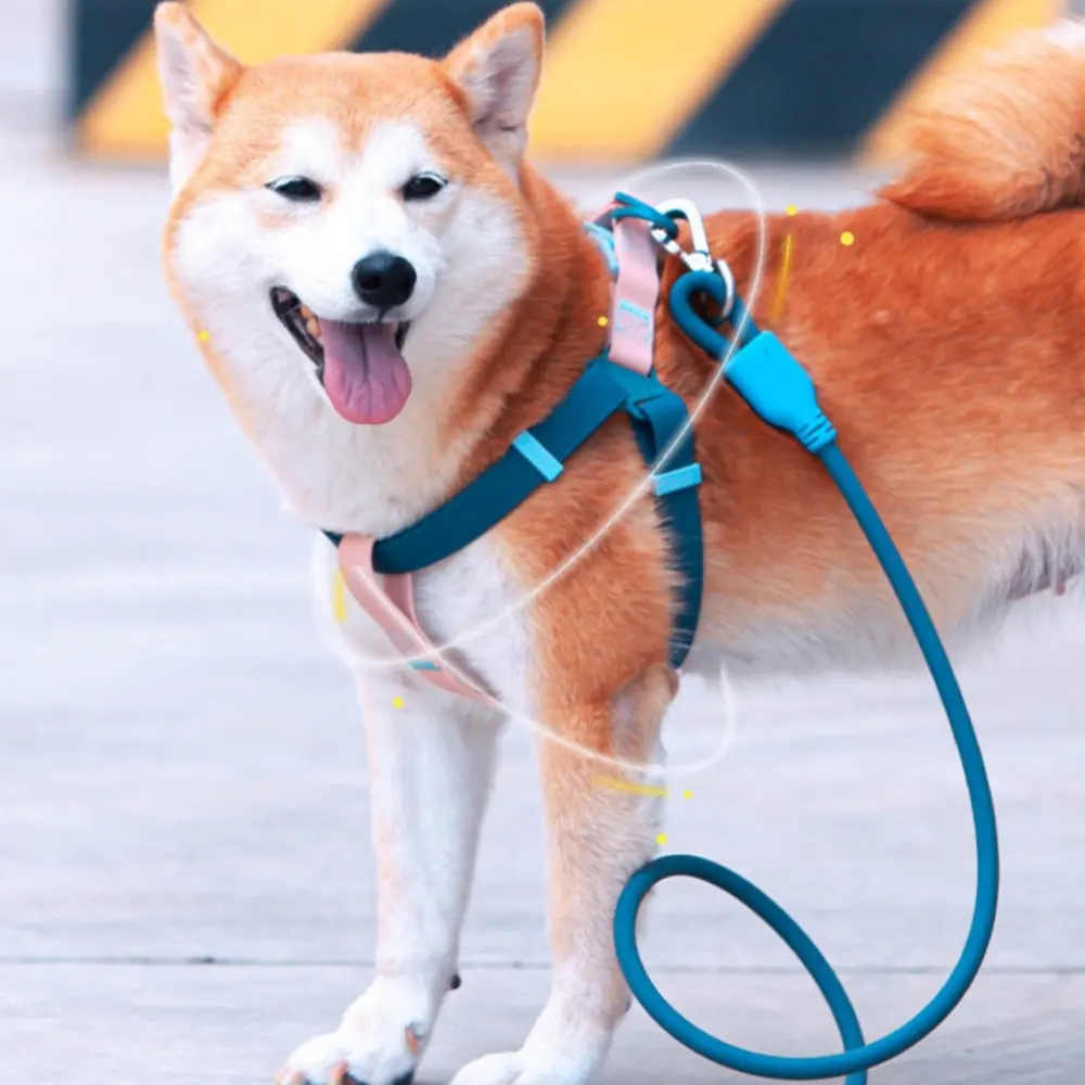 Dog Outing Hand Holding Rope PVC Waterproof Chest