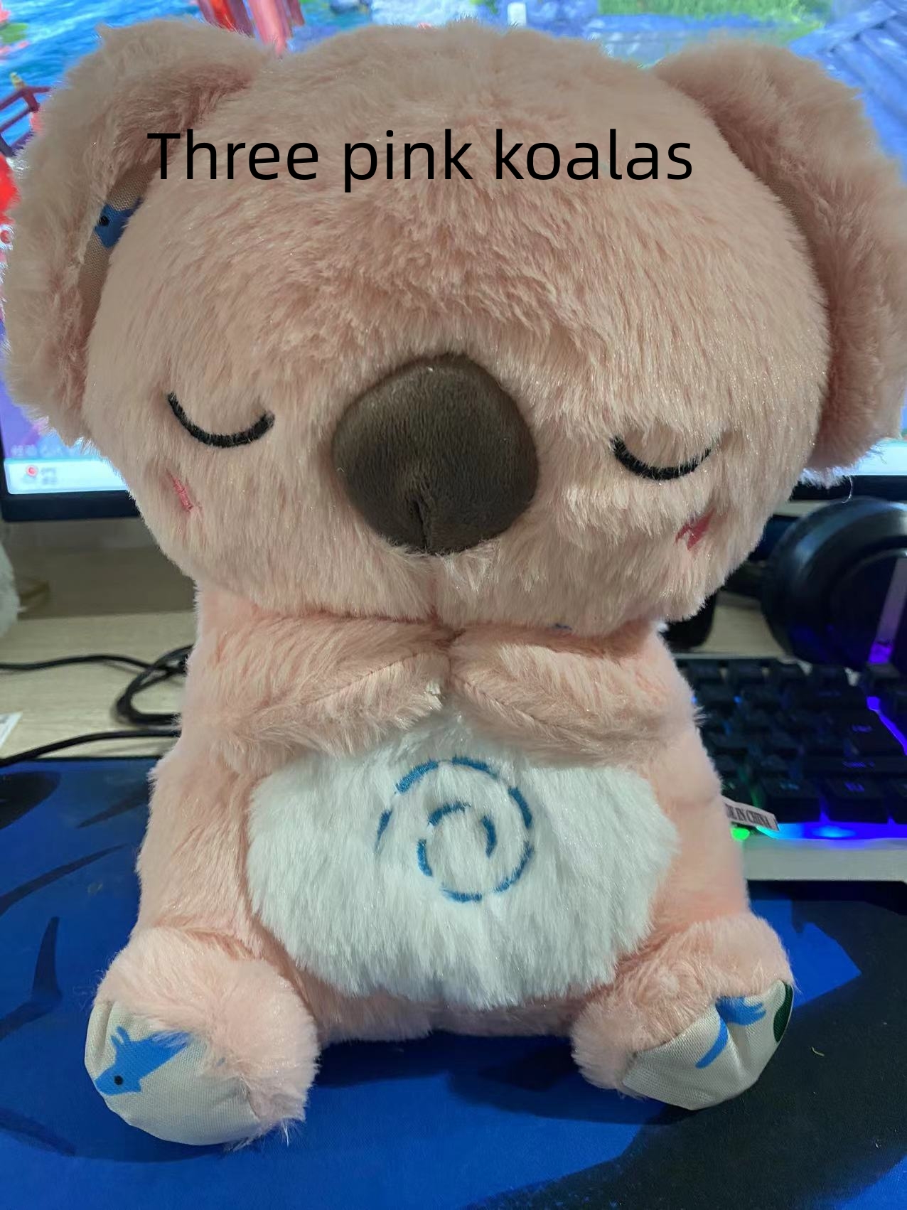 Three pink koalas