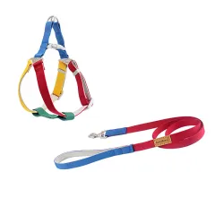 Colorful Outdoor Chest And Back Hand Holding Rope Outing Dog Leash Pet Supplies - Colorful Suit - View 1