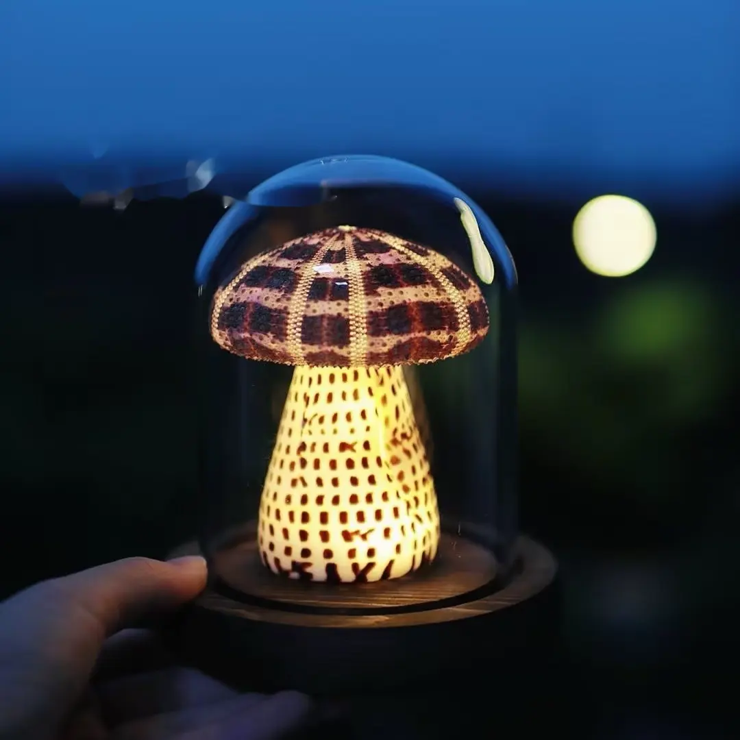 Mushroom Sea Urchin Handmade Small Night Lamp Decoration Material Package
