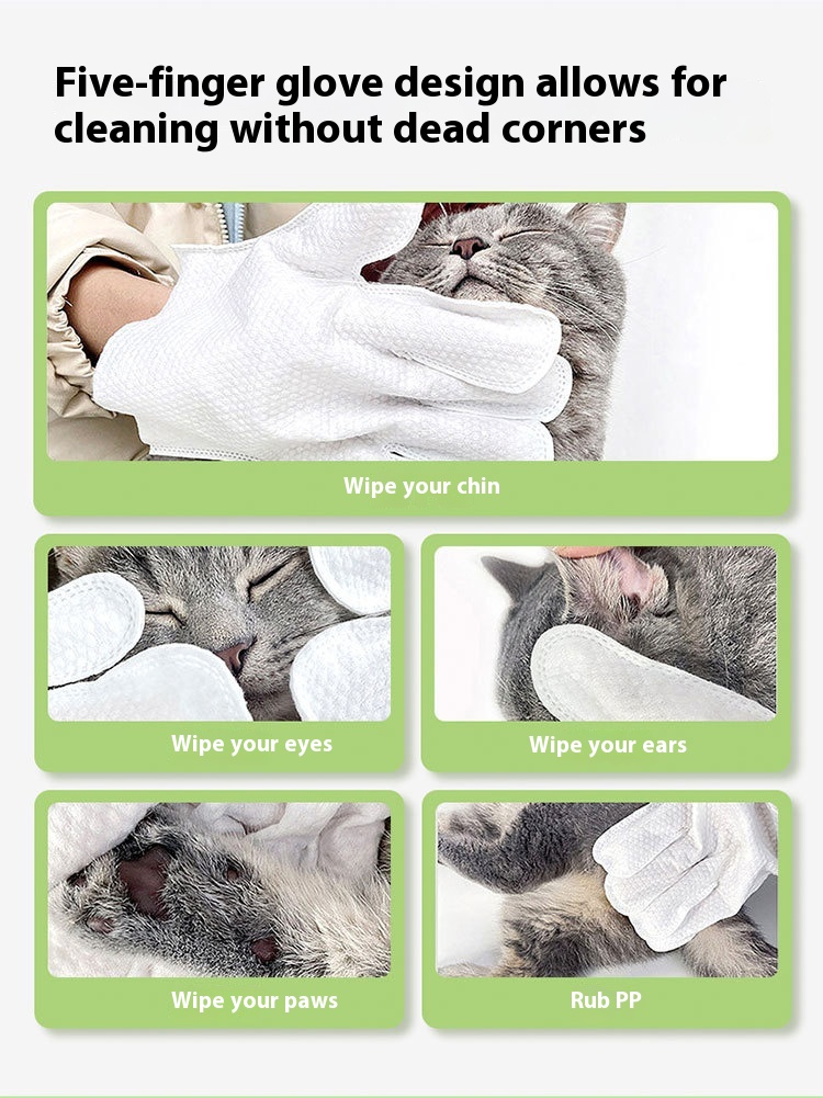 Title 1, Pet Disposable Cleaning Gloves Wipes Supplies