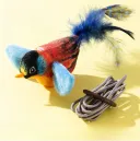 Blue Robin