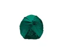 Blackish Green