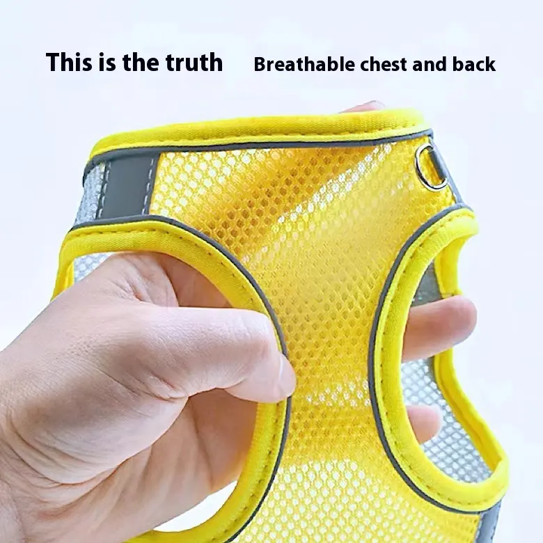 Dog Hand Holding Rope Vest Small Leash