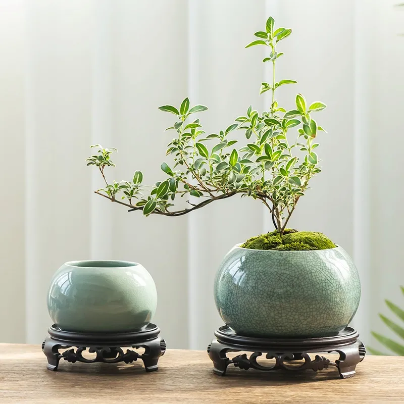 Ge Kiln Canakin Tea From June Snow Bonsai Flower Pot Ceramic