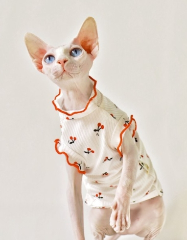 Title 3, Zomer dunne mouwloze vest kattenkleding Lichtge...