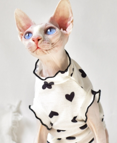 Title 2, Summer Thin Sleeveless Vest Cat Clothing