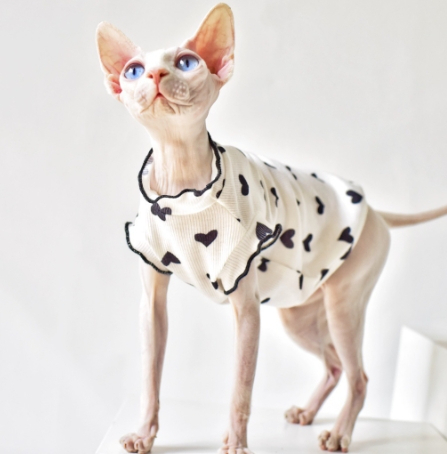 Title 4, Zomer dunne mouwloze vest kattenkleding Lichtge...