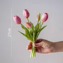 5 Pink Purple