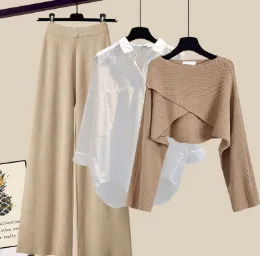 Salt Design Sweater Top Matching Slimming Casual Wide leg Pants Three piece Set Suit 2 - Shop at LoveMi