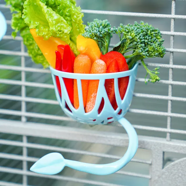 Parrot Fruit Basket Bird Supplies Feeder Vegetable And Fruit Basket 1Pc - Shop at LoveMi
