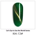 Ckm013