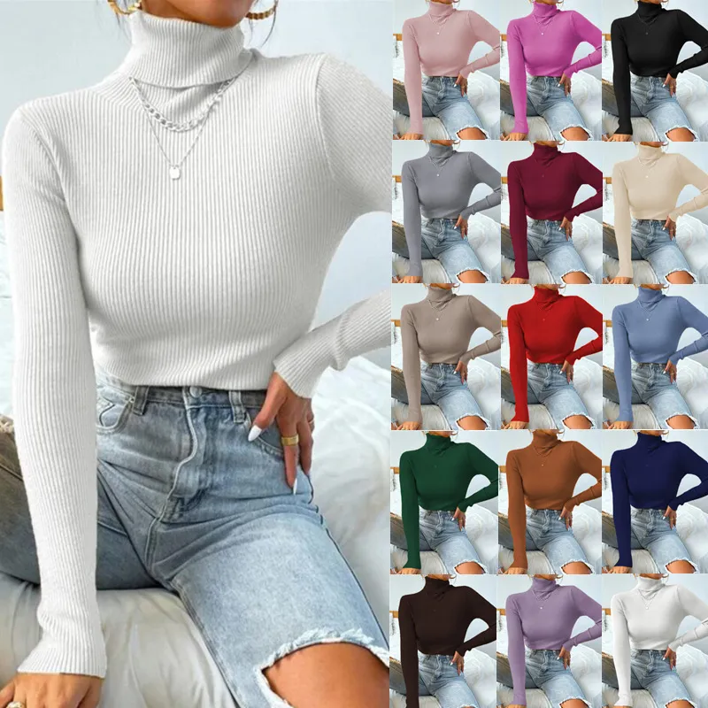 Fitted Turtleneck Knit Pullover