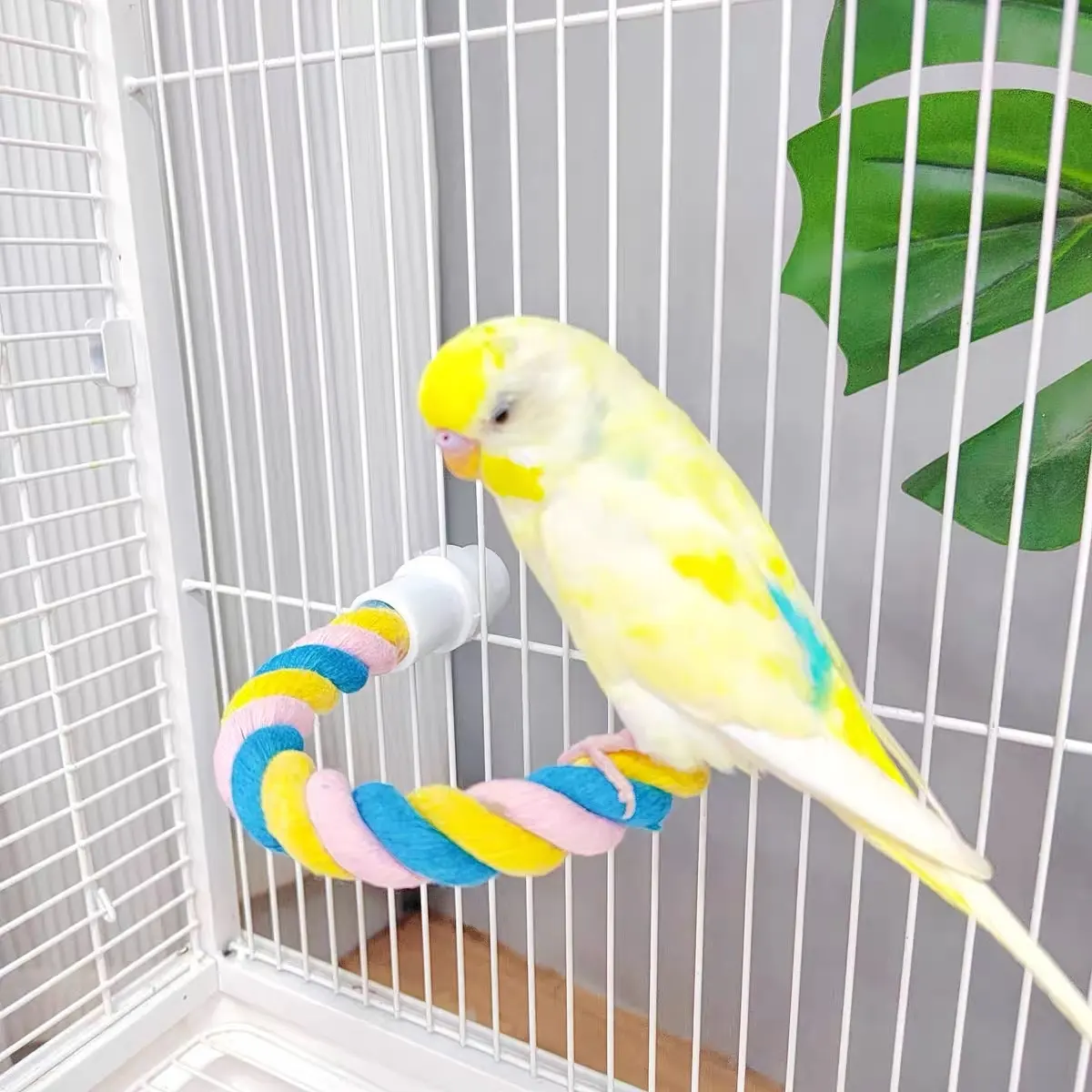 Climbing Cotton String Nibbling Relieving Stuffy Toy