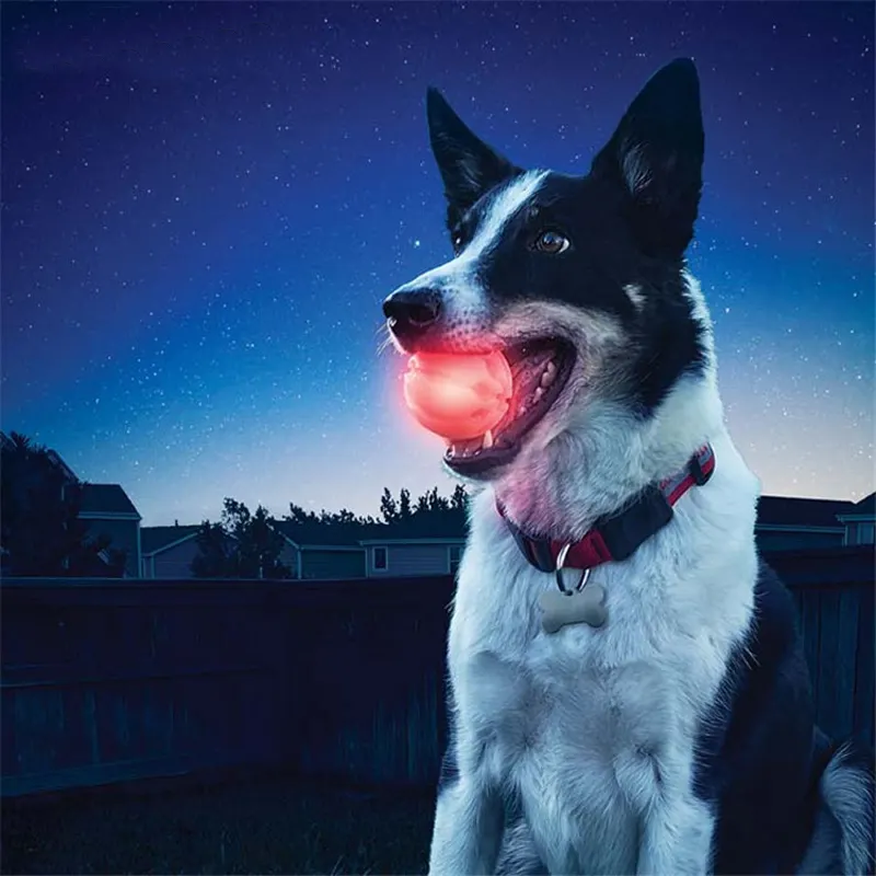 Dog Toy Ball Pet Cat Solid High