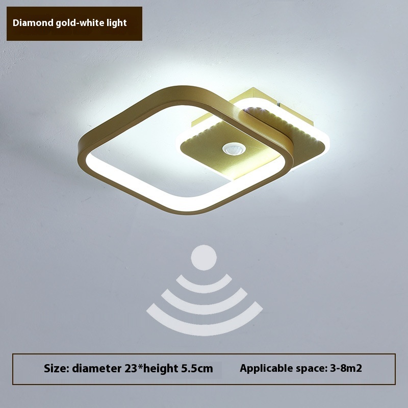 Human Led Induction Lamp Aisle Corridor Ceiling Lamp