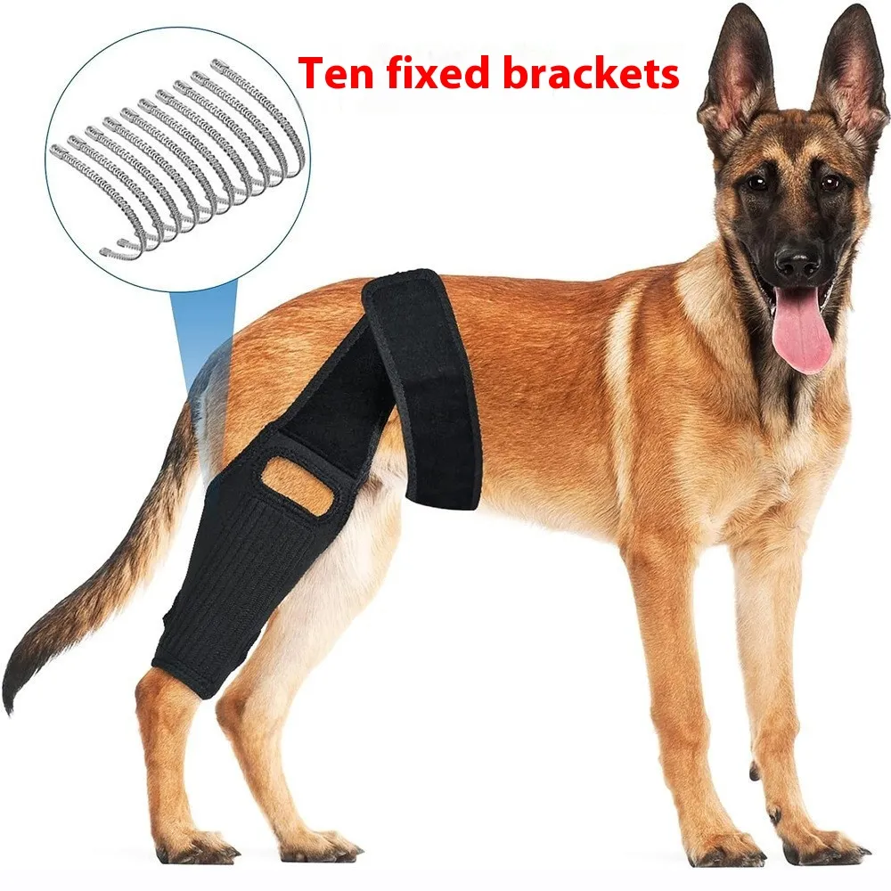 Tear Protection Rehabilitation Training Belt - Ten Bones