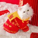 Happy New Year With Scarf