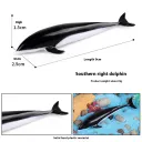 South Ridge Dolphin D