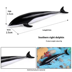 Simulation Marine Animal Model Children's Cognitive Toy - South Ridge Dolphin D - View 1