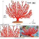 M2844 Large Coral