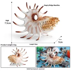 Simulation Marine Animal Model Children's Cognitive Toy - M3029 Nautilidae - View 1