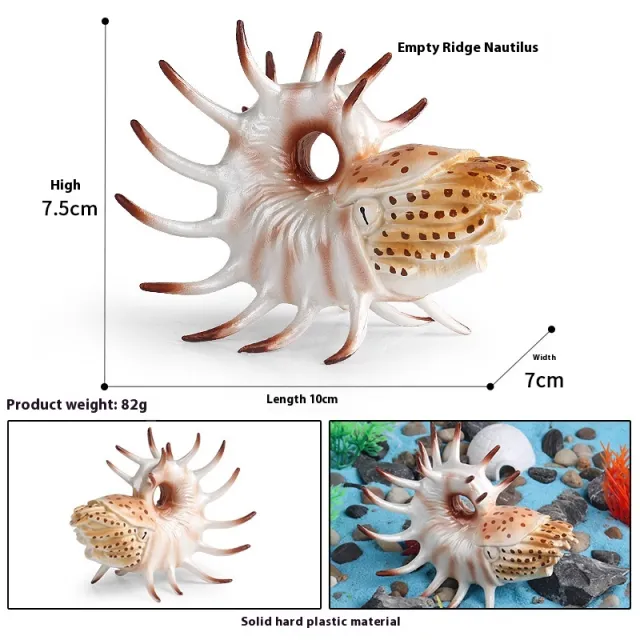 Simulation Marine Animal Model Children's Cognitive Toy M3029 Nautilidae - Shop at LoveMi
