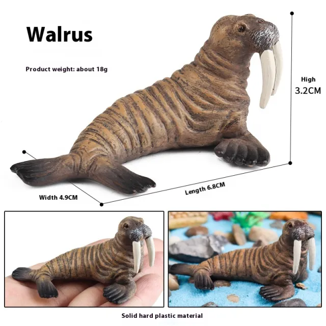 Simulation Marine Animal Model Children's Cognitive Toy Tq Walrus - Shop at LoveMi