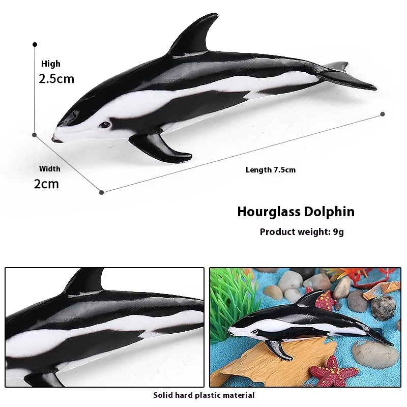 Simulation Marine Animal Model Children's Cognitive Toy - Hourglass Dolphin C