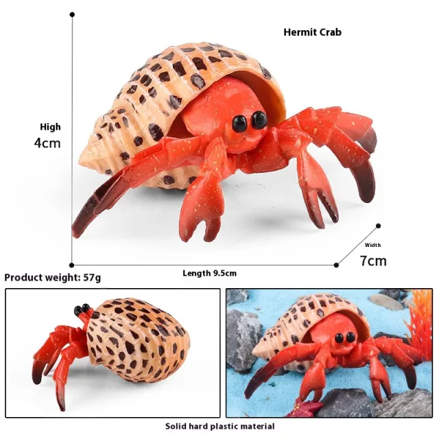 Simulation Marine Animal Model Children's Cognitive Toy Hermit Crab Spot - Shop at LoveMi