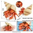 M3026 Hermit Crab