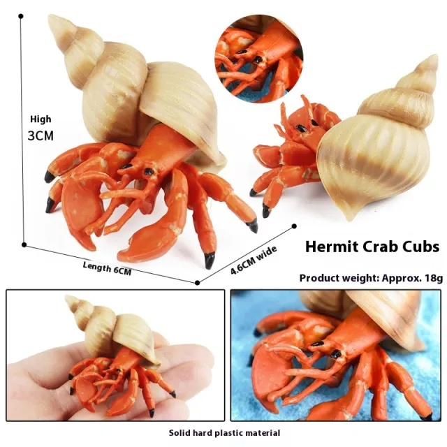 Simulation Marine Animal Model Children's Cognitive Toy M3026 Hermit Crab - Shop at LoveMi