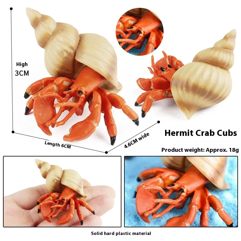 Simulation Marine Animal Model Children's Cognitive Toy - M3026 Hermit Crab
