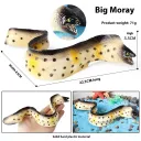 M3239 Spotted Eel