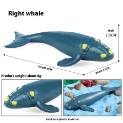 Simulation Marine Animal Model Children's Cognitive Toy - Js Mini Eubalaena - View 1