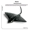 M2036 Mini Manta Ray