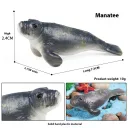 Js Mini Manatee