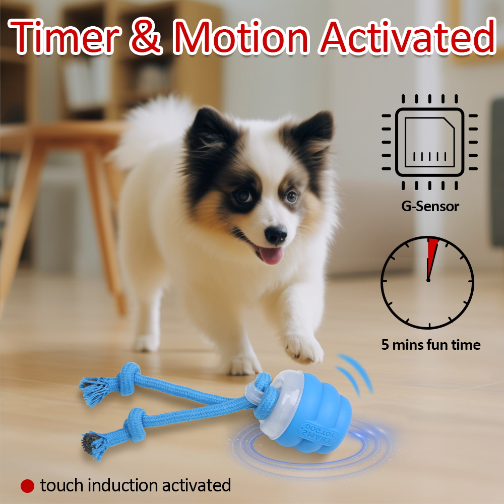 Electric Toy Ball Built-in Dog Leash Suitable For Small And Medium-sized Dogs
