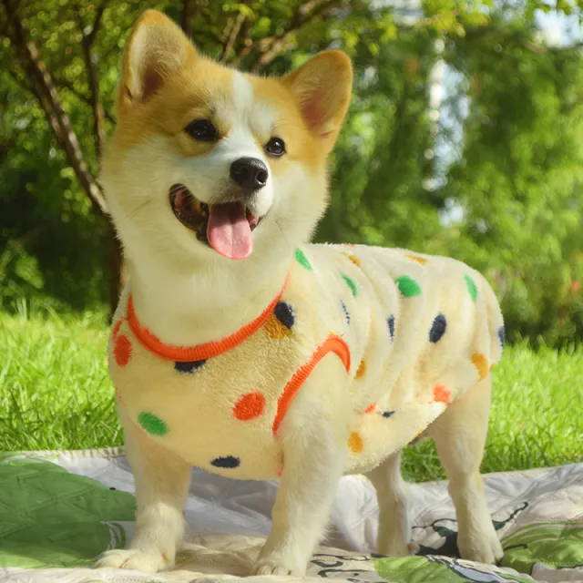 Dog Clothes Fall And Winter Medium sized Anti dirty Warm Padded Vest Color - Shop at LoveMi