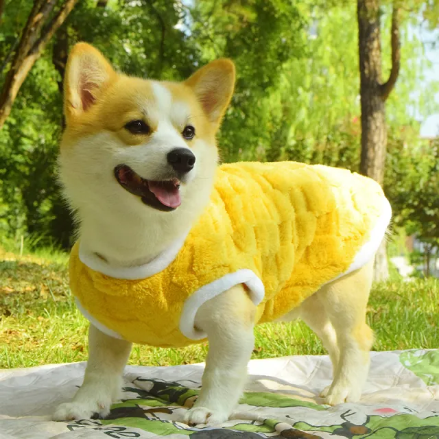 Dog Clothes Fall And Winter Medium sized Anti dirty Warm Padded Vest Yellow - Shop at LoveMi