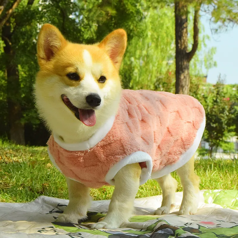 Dog Clothes Fall and Winter Medium-sized Anti-dirty Warm Padded