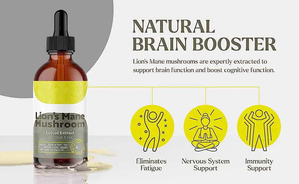 Lion Mane Mushroom Drops