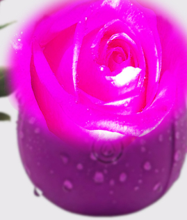 Rose Vibrator Masturbation Device Meet And Have Fun Nian Nujiao Toys 3